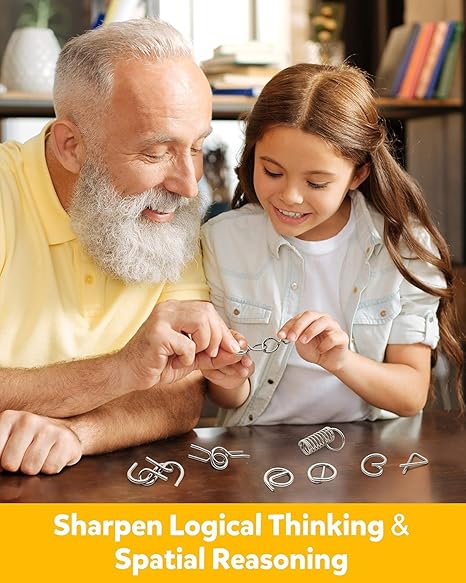 Metal Wire Puzzles (Set of 12)